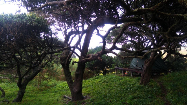 20. Bulungula - Our Tent deck in the trees